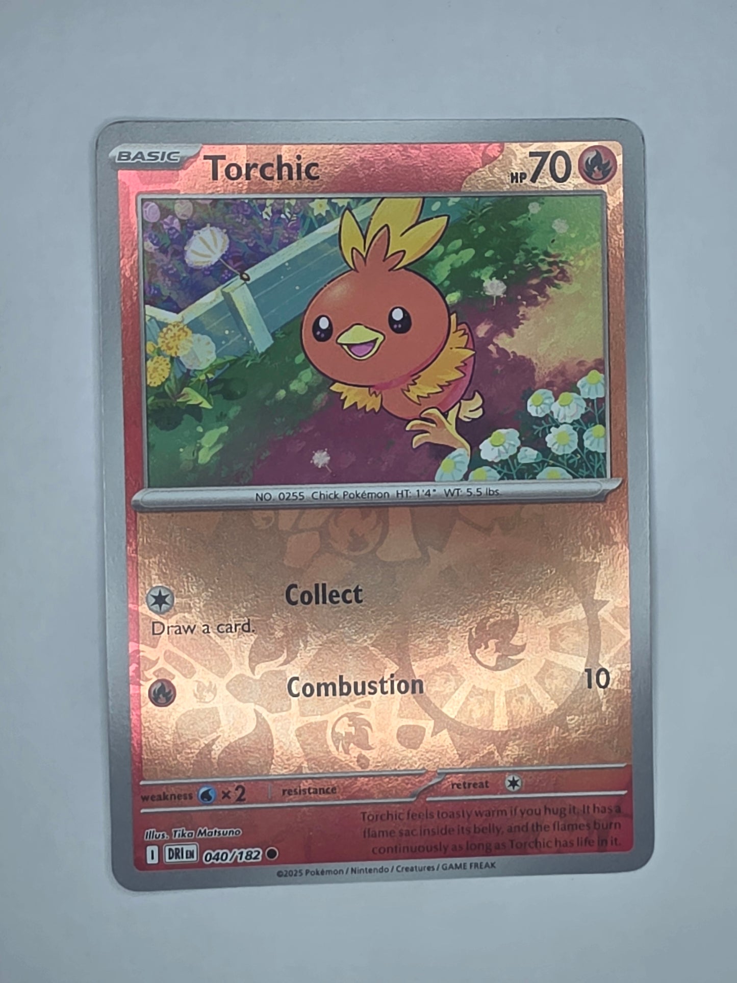 #040/182 Torchic Reverse Holo