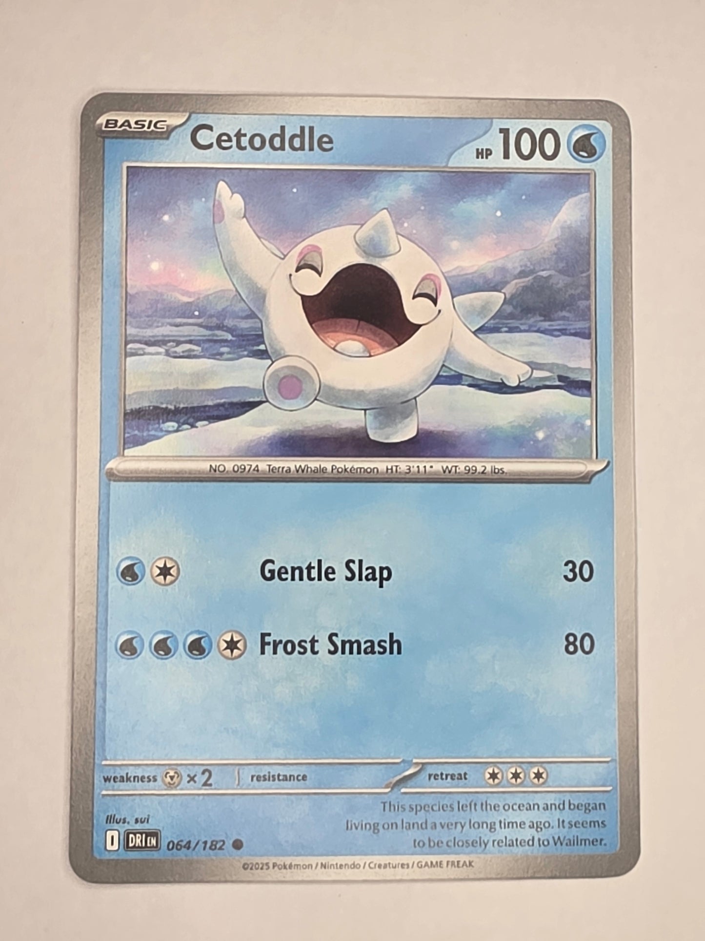 #064/182 Cetoddle Normal