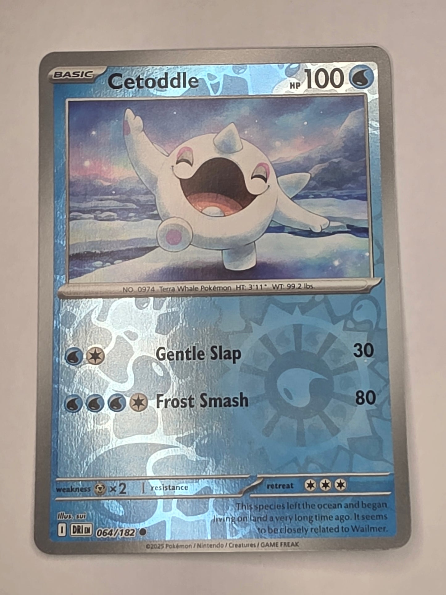 #064/182 Cetoddle Reverse Holo