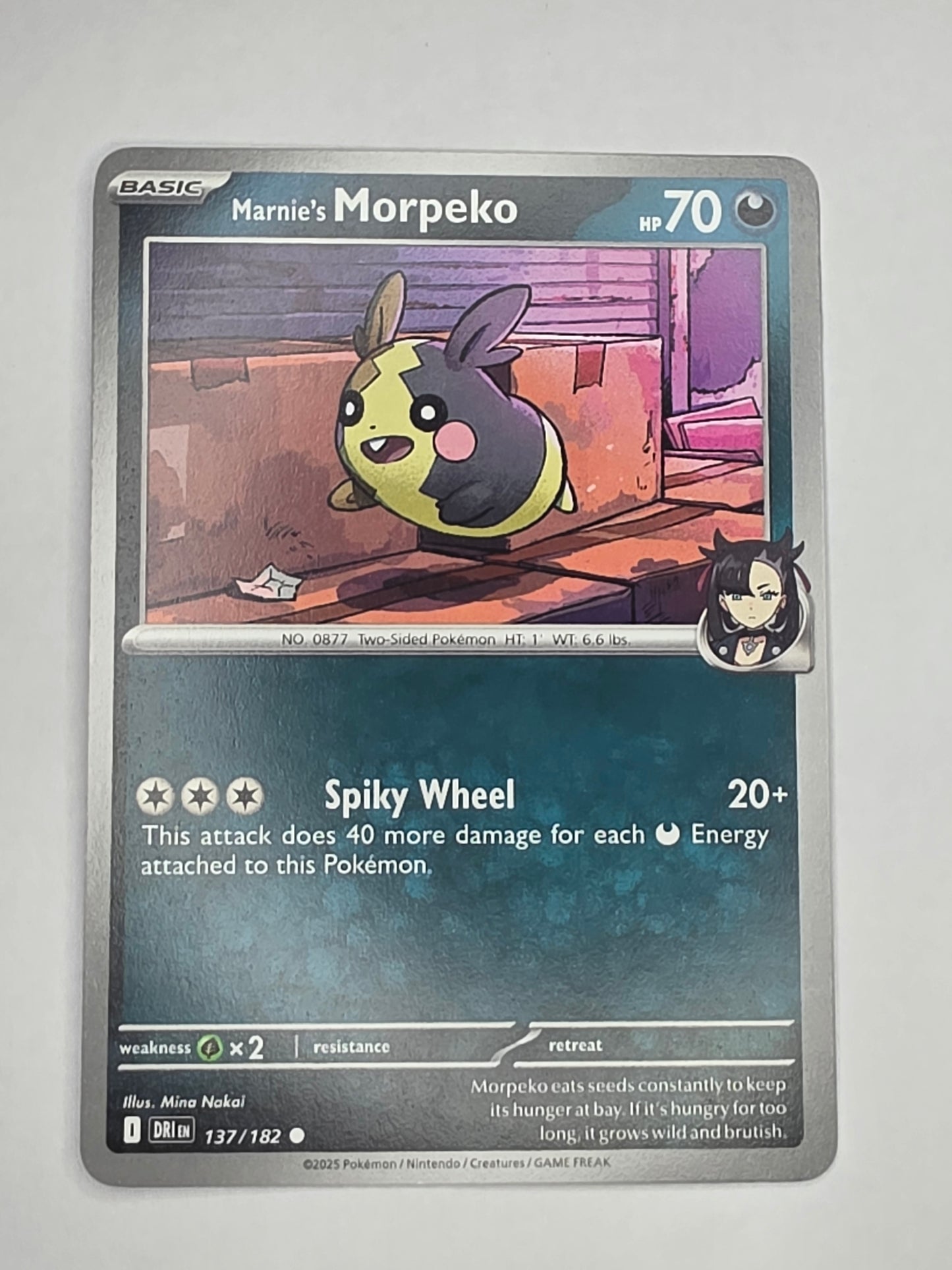 #137/182 Marnie's Morpeko Normal
