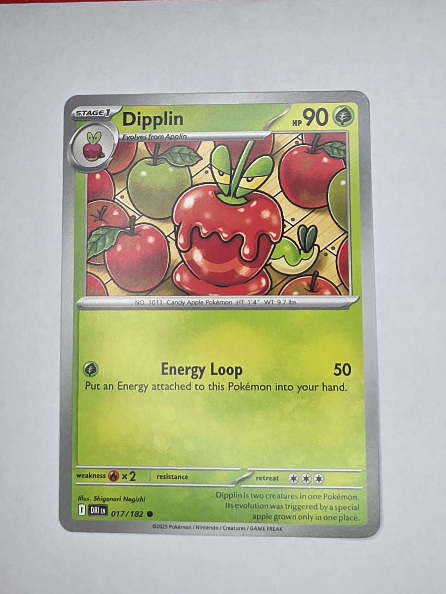 #017/182 Dipplin Normal