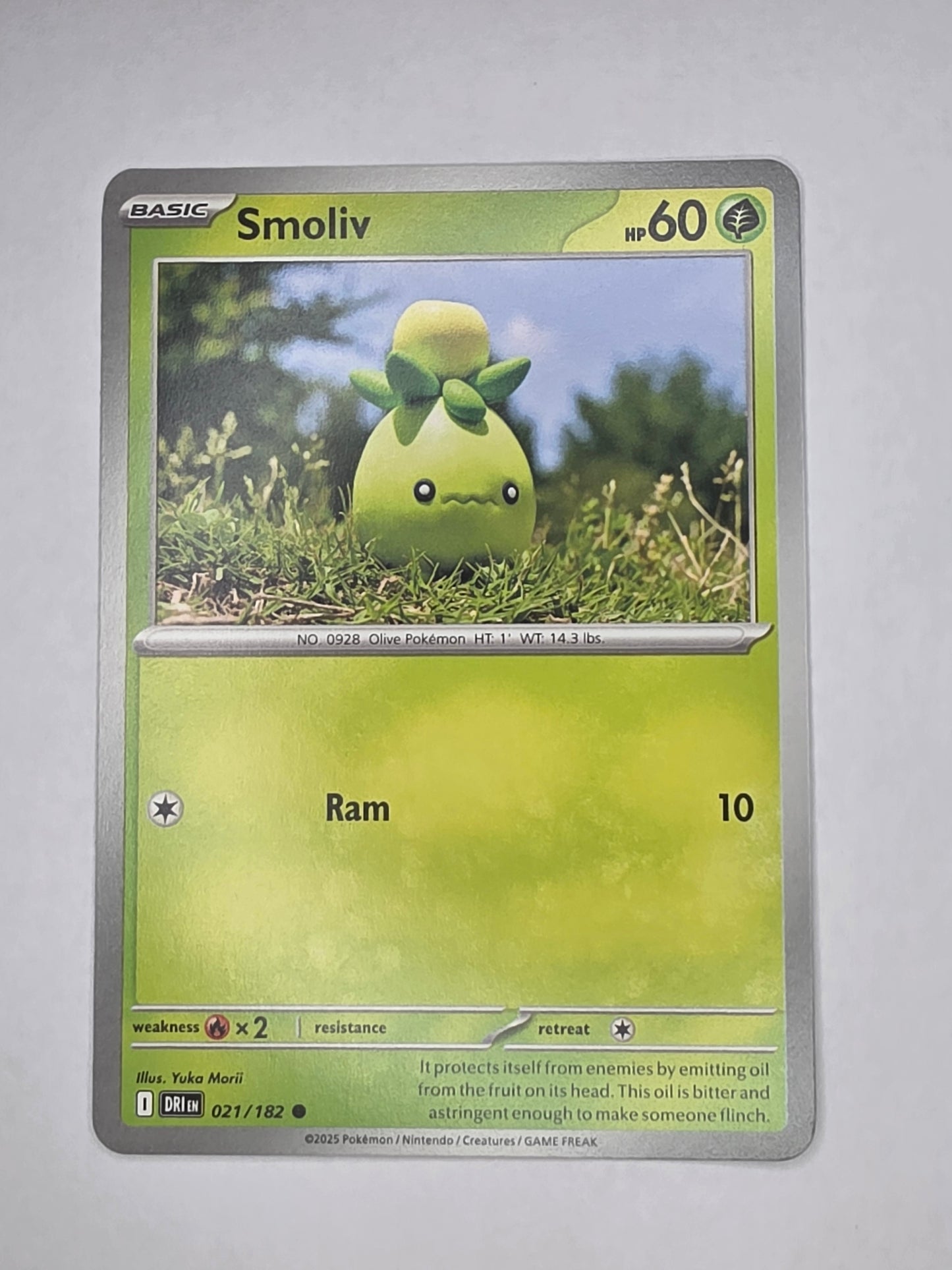 #021/182 Smoliv Normal