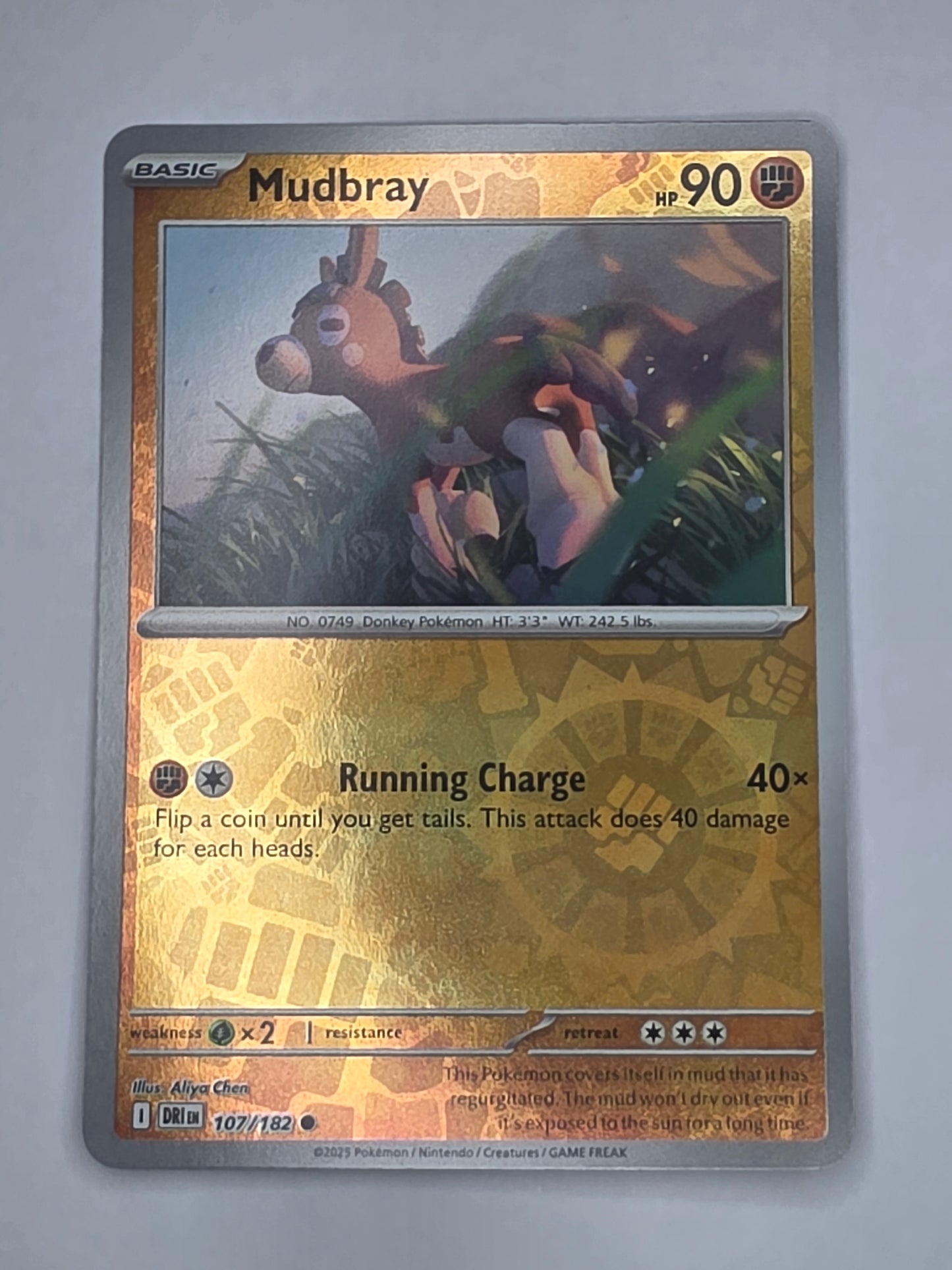 #107/182 Mudbray Reverse Holo