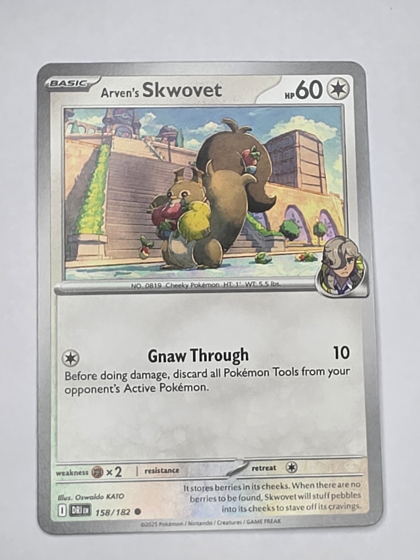 #158/182 Arven's Skwovet Normal