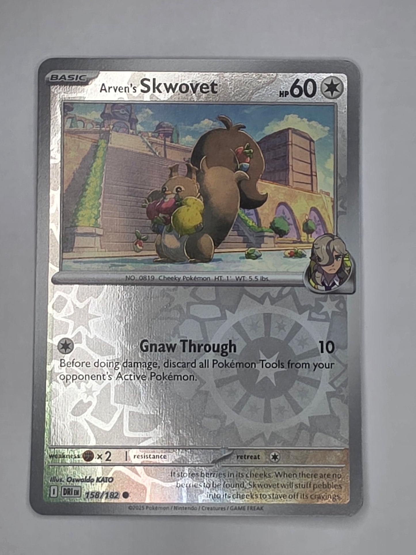 #158/182 Arven's Skwovet Reverse Holo