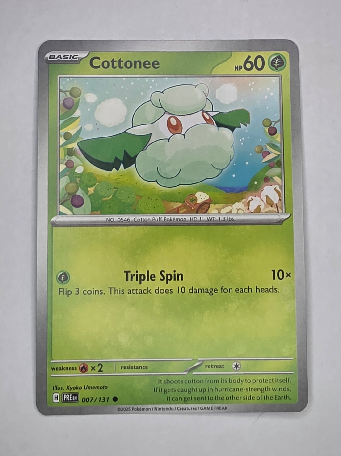 #007/131 Cotonee Normal